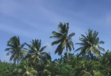 5300款竖屏无声无字幕风景伤感情感视频素材